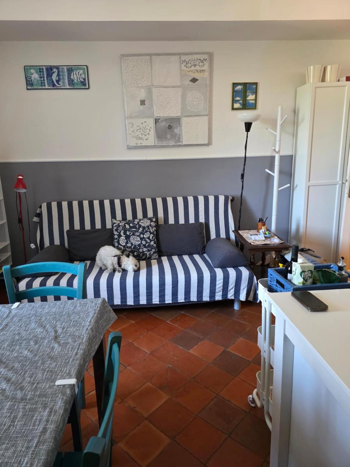 The Shell - New Interior Look But Same Old Charme 200Mt From The Sea With Garden And Parking Nearby Apartment Империа Екстериор снимка